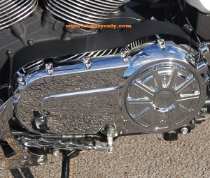Chrome Derby Bolt kit inclides 2 tapered bolts perfect size fro installing Arlen Ness Engine Covers.
